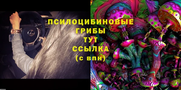 мяу мяу мука Магадан