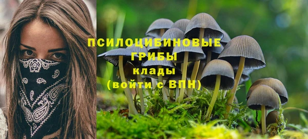 мяу мяу мука Магадан